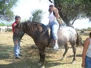 Horse Riding